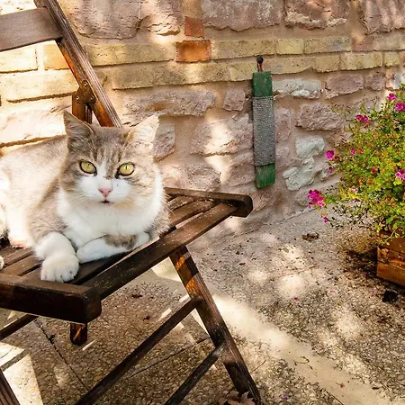 Διαμέρισμα Casamenetto Vacanze